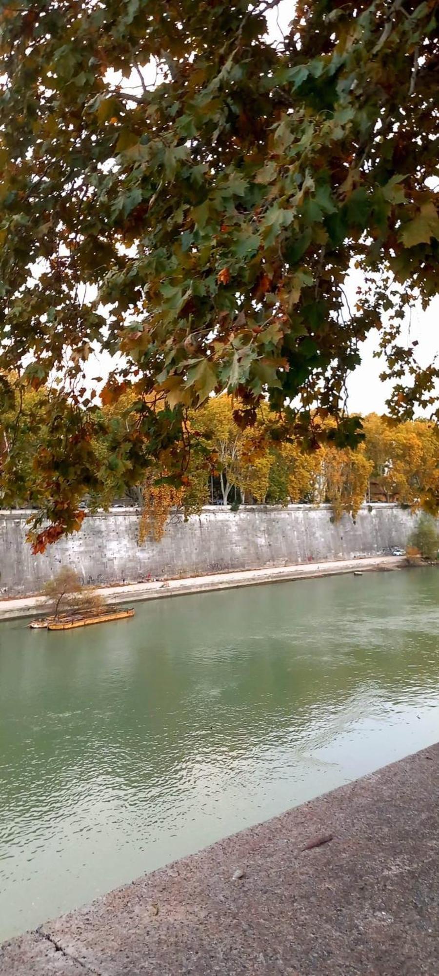 Riversidemellini44 Roma Dış mekan fotoğraf